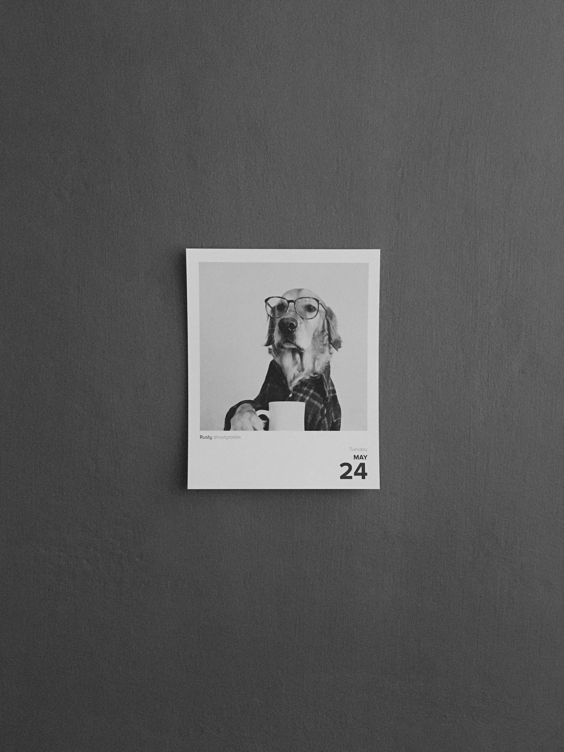 Webサイトに最適な画像サイズと解像度について考えてみた